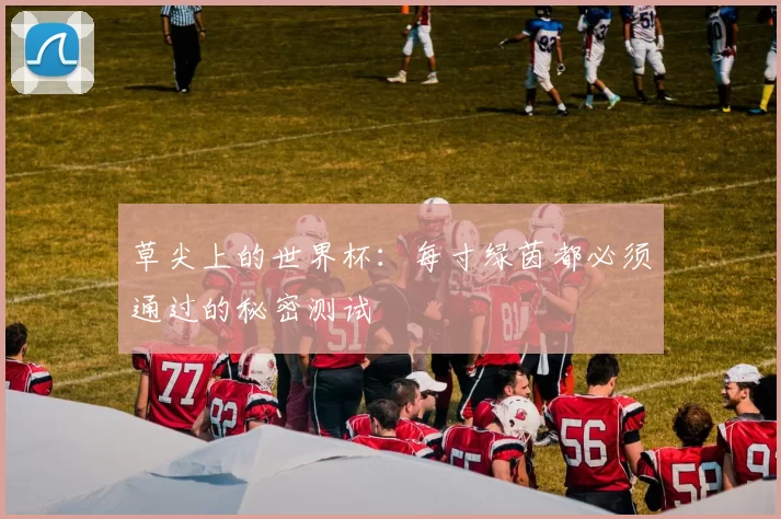 草尖上的世界杯：每寸绿茵都必须通过的秘密测试