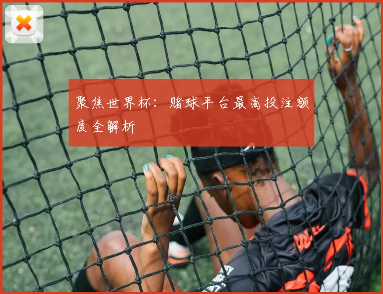 聚焦世界杯:赌球平台最高投注额度全解析
