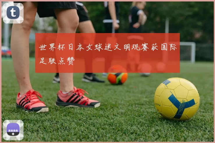 世界杯日本女球迷文明观赛获国际足联点赞