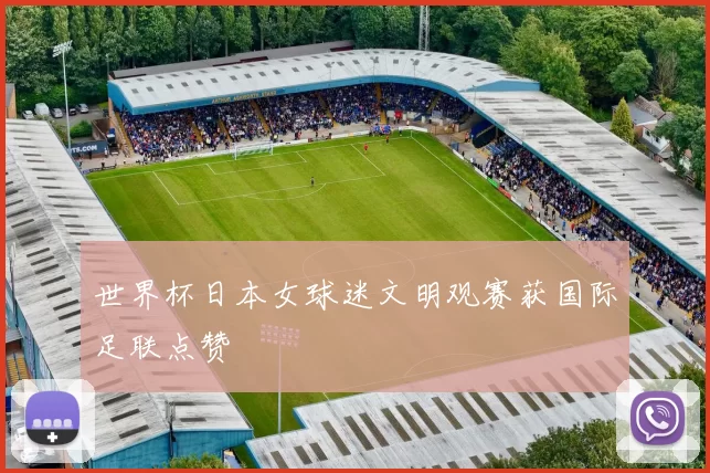 世界杯日本女球迷文明观赛获国际足联点赞