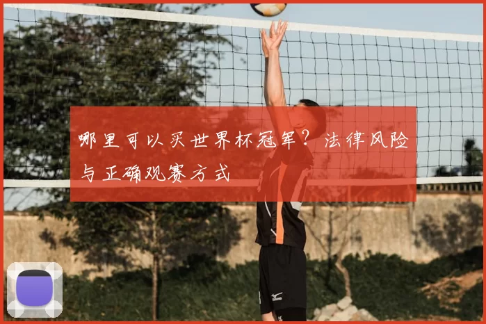 哪里可以买世界杯冠军？法律风险与正确观赛方式