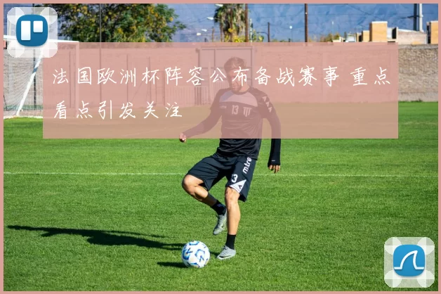 法国欧洲杯阵容公布备战赛事 重点看点引发关注