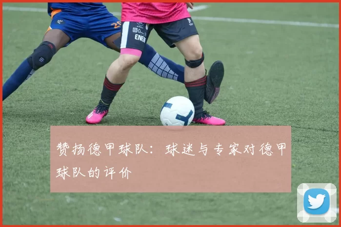 赞扬德甲球队：球迷与专家对德甲球队的评价