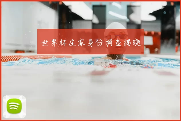 世界杯庄家身份调查揭晓