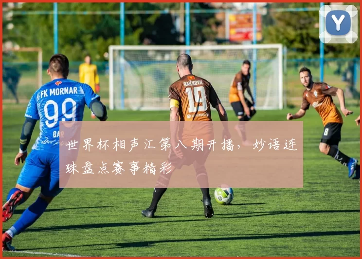 世界杯相声汇第八期开播，妙语连珠盘点赛事精彩