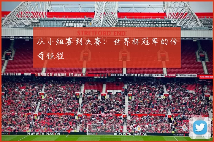 从小组赛到决赛:世界杯冠军的传奇征程