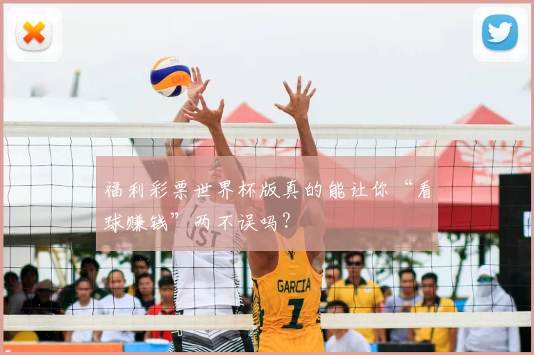 福利彩票世界杯版真的能让你“看球赚钱”两不误吗?