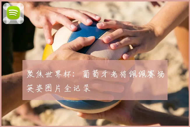 聚焦世界杯：葡萄牙老将佩佩赛场英姿图片全记录