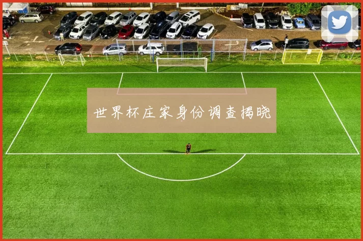 世界杯庄家身份调查揭晓
