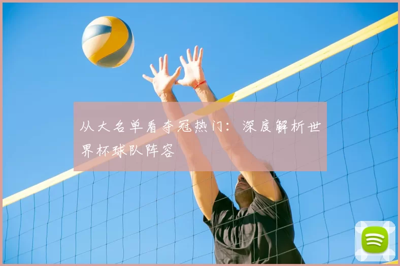 从大名单看夺冠热门：深度解析世界杯球队阵容