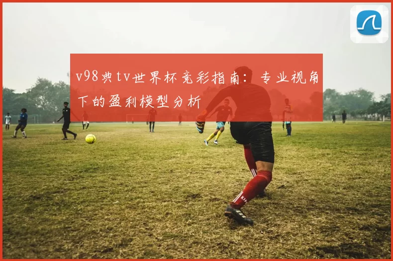 v98典tv世界杯竞彩指南：专业视角下的盈利模型分析