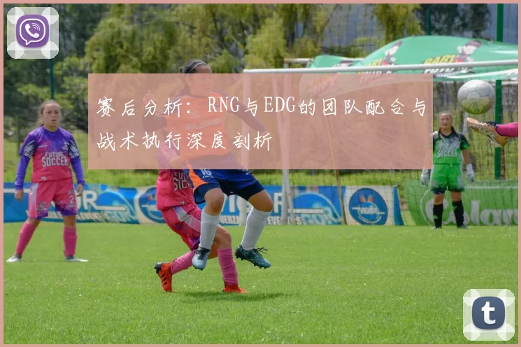 赛后分析：RNG与EDG的团队配合与战术执行深度剖析